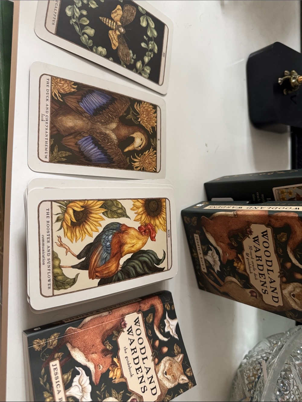 Jessica Woodland Wardens Oracle Deck - beautiful cards - Picture 4 of 4